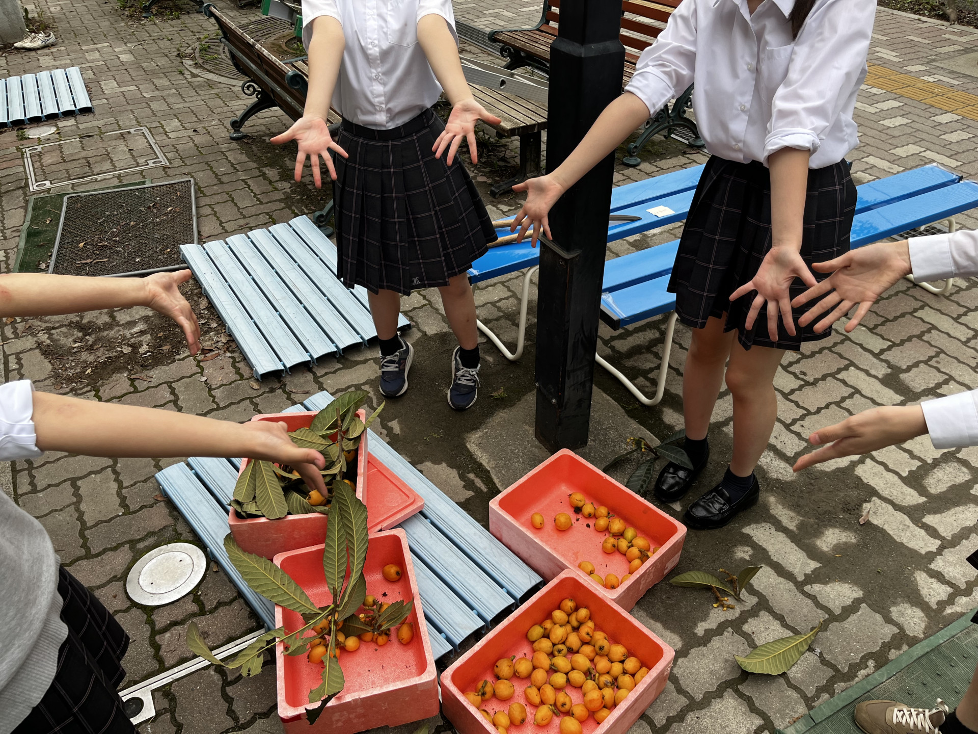 画像 -20260611-072833-f4557f5c_8657